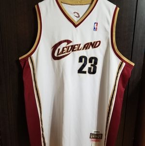 Lebron James #23 jersey Mitchell and Ness